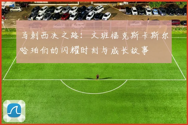 马刺西决之路：文班福克斯卡斯尔哈珀们的闪耀时刻与成长故事