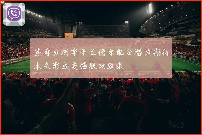 芬奇分析华子兰德尔配合潜力期待未来形成更强联动效果
